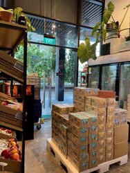 The Venue Residences (D13), Shop House #460639651